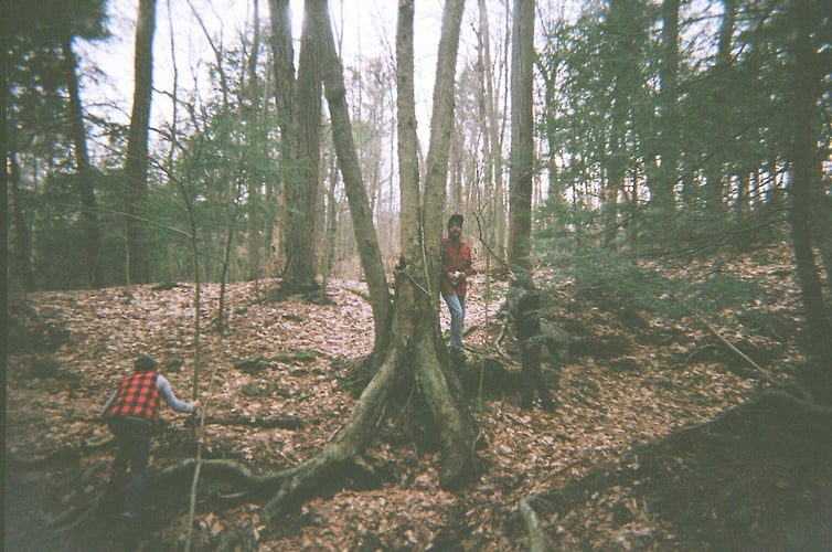 the boys hiking - Margaret Murphy Photography