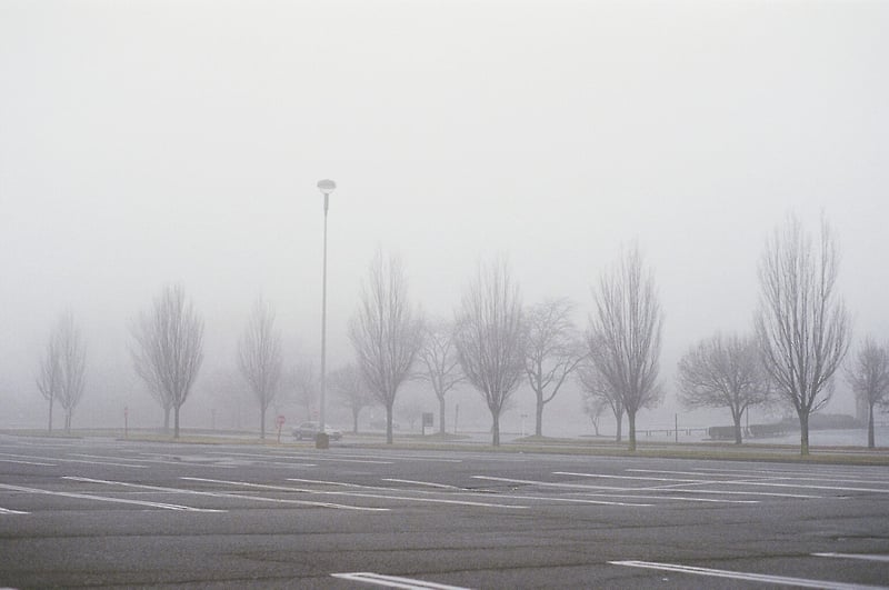 foggy lot - Margaret Murphy Photography