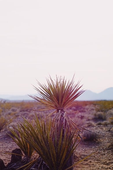 Exploration - Margaret Murphy Photography