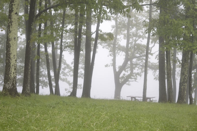 crystal lake fog - Margaret Murphy Photography