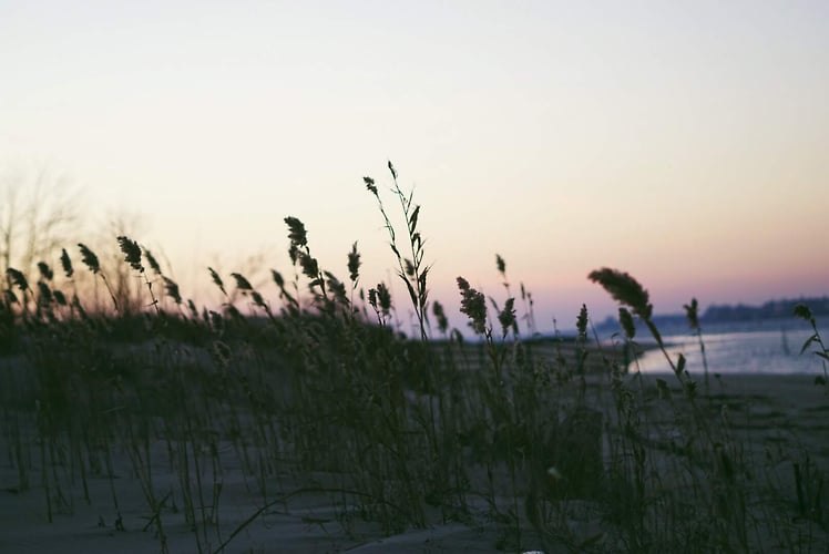 Exploration - Margaret Murphy Photography