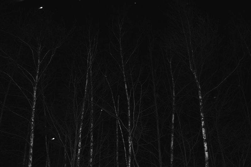 Exploration - Margaret Murphy Photography
