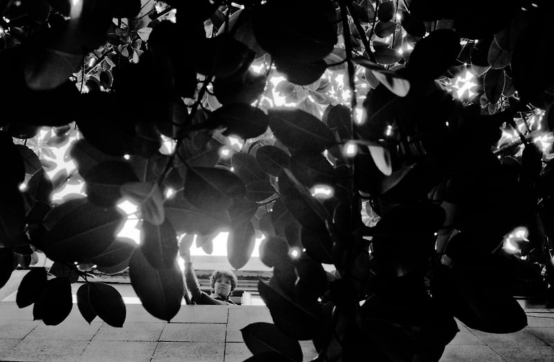 Mexico Df - M.ESCRIBANO