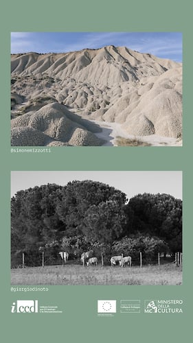 Pon Iccd - Marta Tonelli