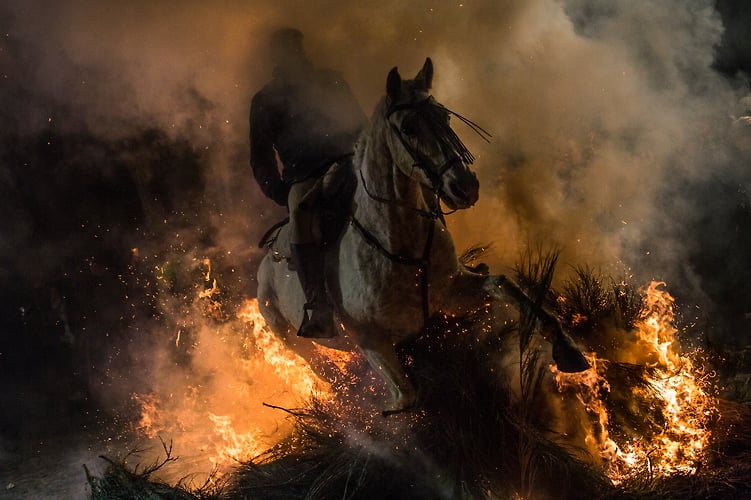 Bulls Fire And Masks - Alejandro Martínez Vélez
