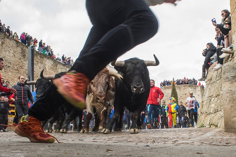 Bulls Fire And Masks - Alejandro Martínez Vélez