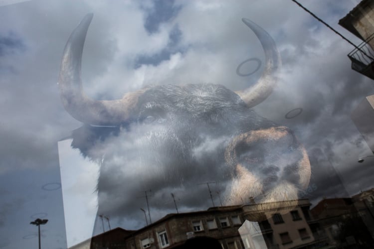 Bulls Fire And Masks - Alejandro Martínez Vélez