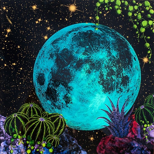 This is Earth. - Melissa Uroff