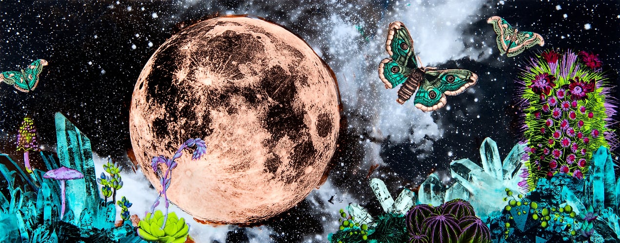 Murals Installations And Others - Melissa Uroff