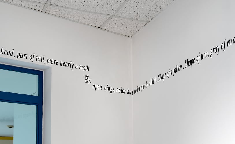 See Shade Shape Solo Show Northeastern Illinois University Fine Arts Center Gallery Fall 2022 - Monika Plioplyte