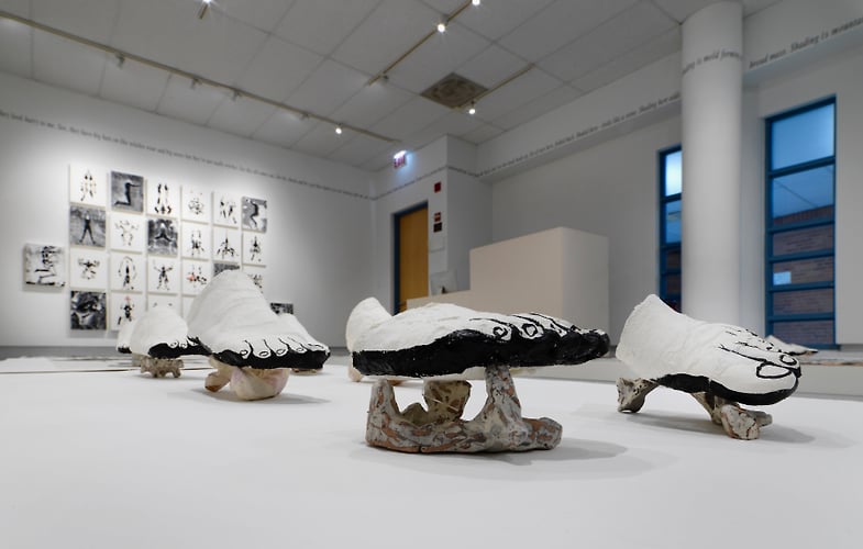 See Shade Shape Solo Show Northeastern Illinois University Fine Arts Center Gallery Fall 2022 - Monika Plioplyte
