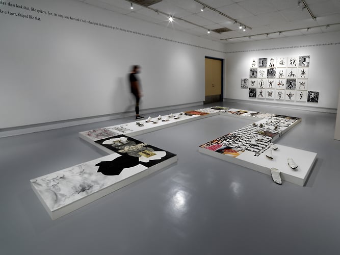 See Shade Shape Solo Show Northeastern Illinois University Fine Arts Center Gallery Fall 2022 - Monika Plioplyte