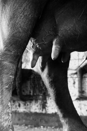 Stoer - Noud van Tiem Fotografie
