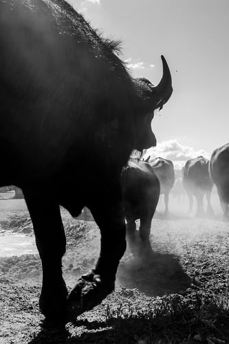 Stoer - Noud van Tiem Fotografie