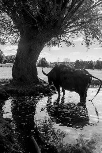 Stoer - Noud van Tiem Fotografie