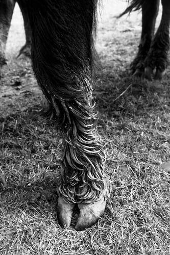 Stoer - Noud van Tiem Fotografie