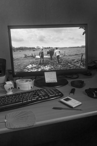 Stoer - Noud van Tiem Fotografie