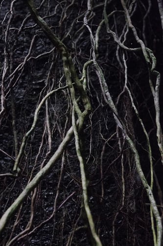 Vloed 2 - Noud van Tiem Fotografie