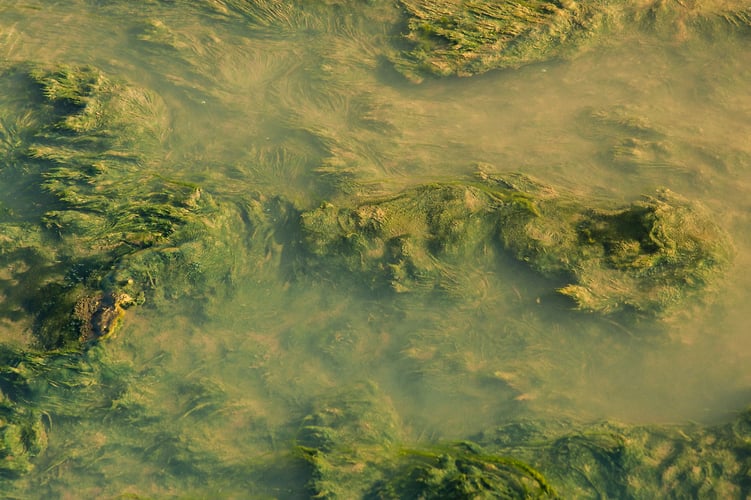 Vloed 2 - Noud van Tiem Fotografie