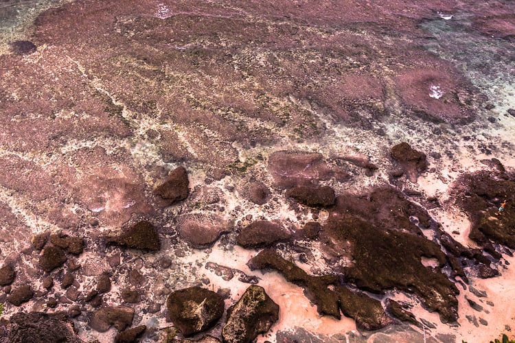 Vloed 2 - Noud van Tiem Fotografie