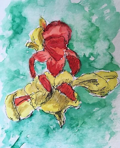 Red and Yellow Cannas - Mini - Penney De Pas