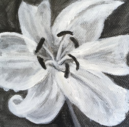Day Lily (B&W) - Penney De Pas