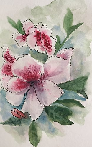 Triple Encore Azalea - Mini - Penney De Pas