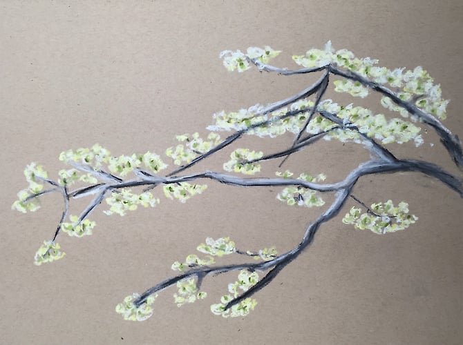 Dogwood Branch in Spring - Penney De Pas