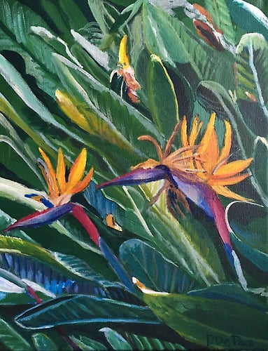 Birds of Paradise - Penney De Pas