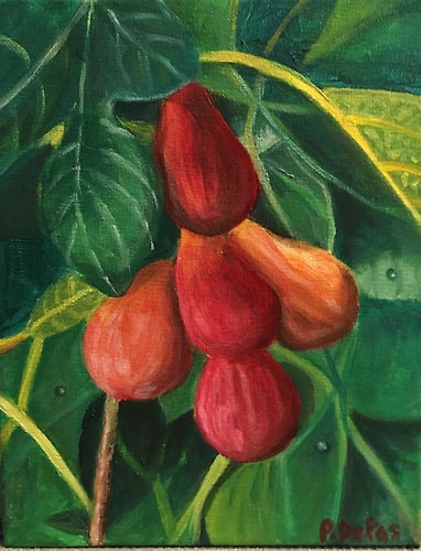 Figs - Penney De Pas