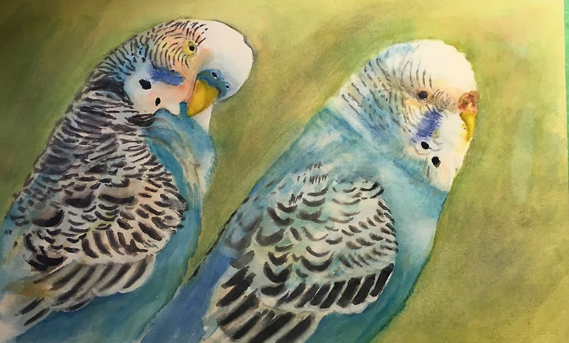 Two Blue Parakeets - Penney De Pas