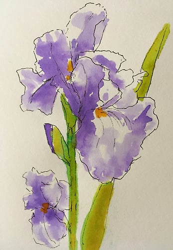 Lavender Iris Mini - Penney De Pas