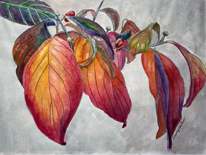 Autumn Dogwood Leaves - Penney De Pas
