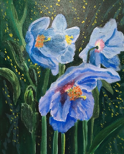 Blue Poppies - Penney De Pas
