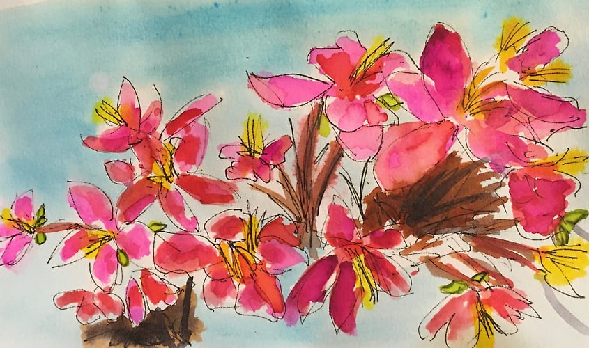 Prairifire Crabapple Blossoms - Mini - Penney De Pas