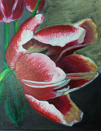 Tulip Tender - Penney De Pas