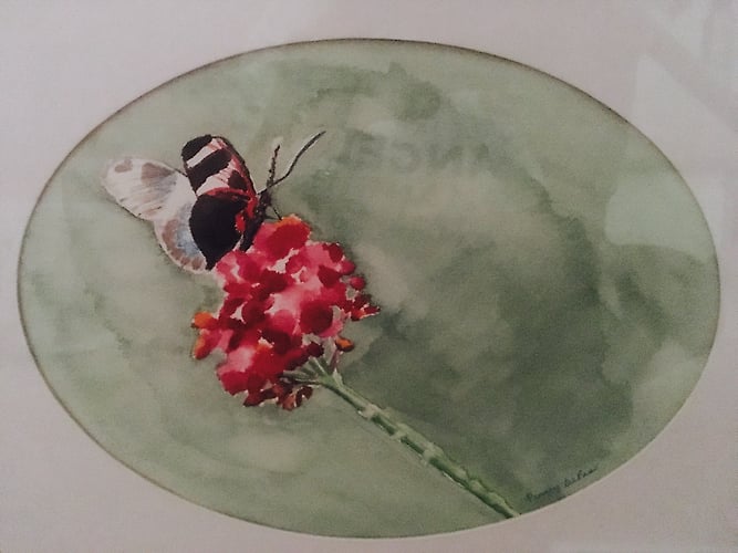 Butterfly on Flower - Penney De Pas