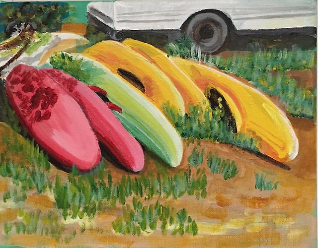 Kayaks Along the French Broad - Penney De Pas