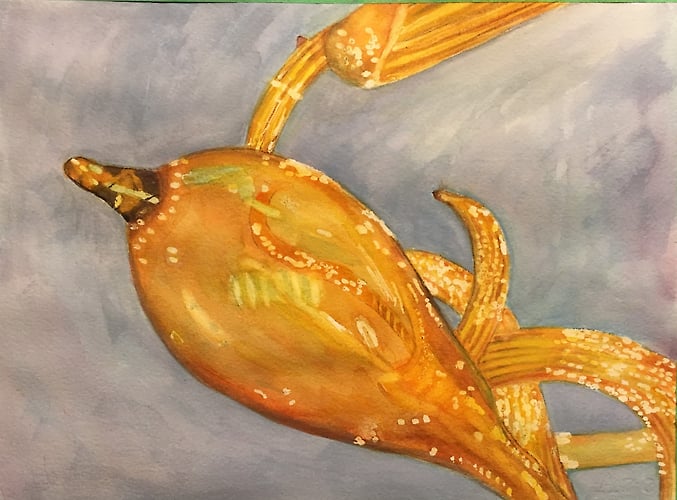 Chihuly Chandelier Detail - Penney De Pas