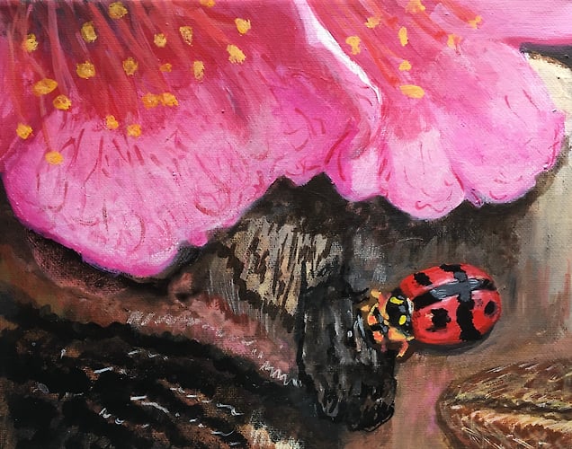 Lady Bug and Azalea - Penney De Pas