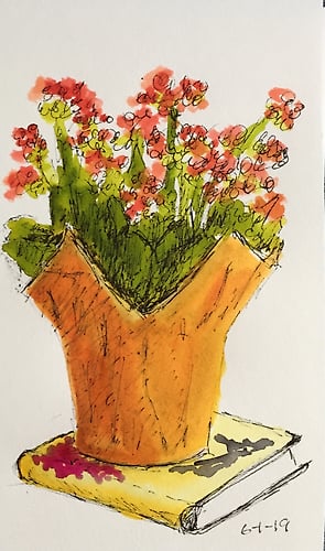 Orange Kalanchoe - Mini - Penney De Pas