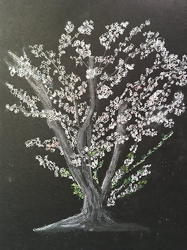 White Cherry Tree in Spring - Penney De Pas