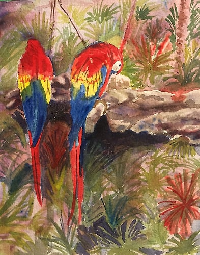Mexican Parrots - Penney De Pas