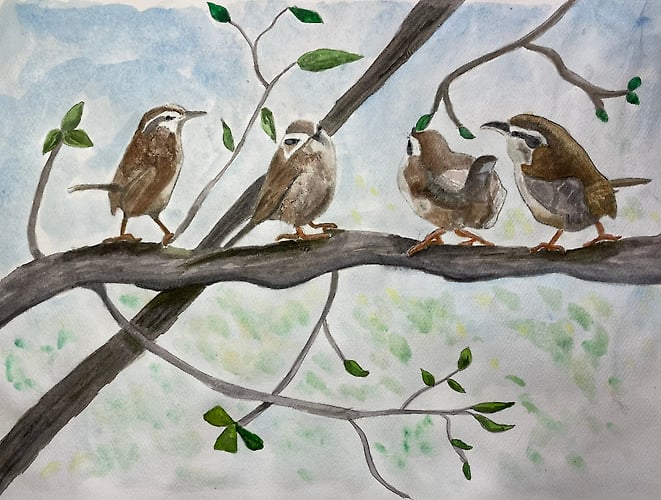 Four Carolina Wrens - Penney De Pas