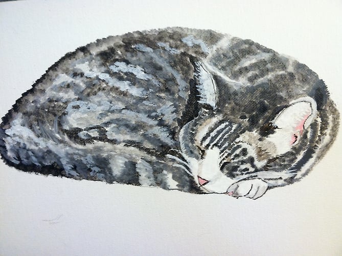 Kiwi - Penney De Pas