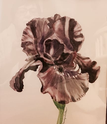 Black Iris - Penney De Pas