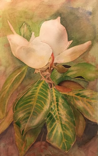 Magnolia Meditation - Penney De Pas