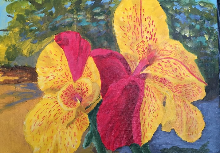 Double Red & Yellow Cannas - Penney De Pas