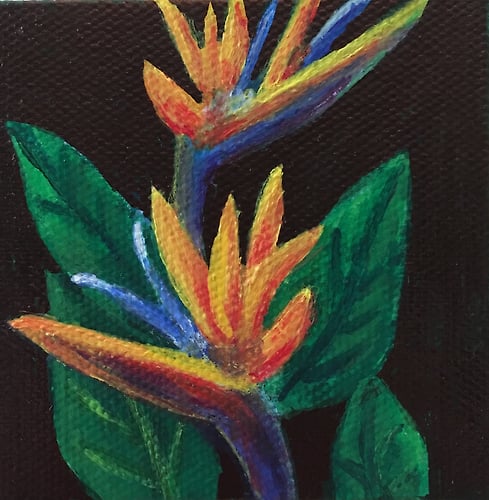 Birds of Paradise-mini - Penney De Pas