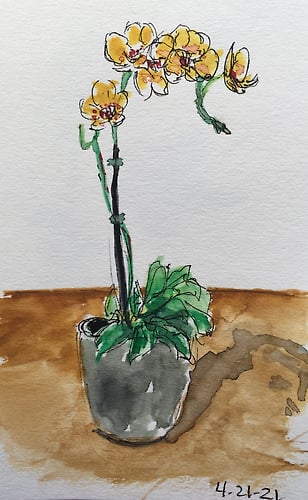 Pot of Orchids-mini - Penney De Pas